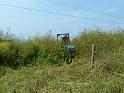 Picture 006